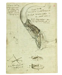 Codex on the Flight of Birds, Folio 18 Verso